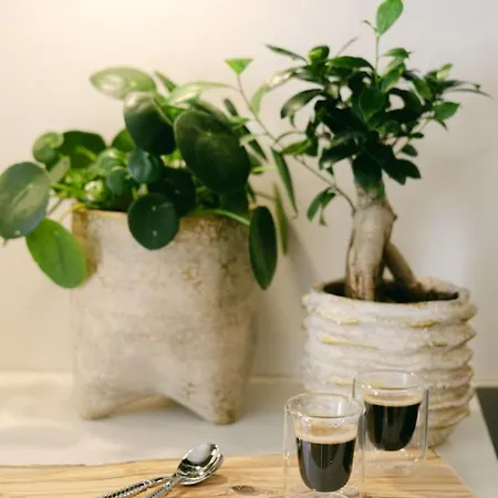 Apartament Millihaus By Homeflow Zermatt