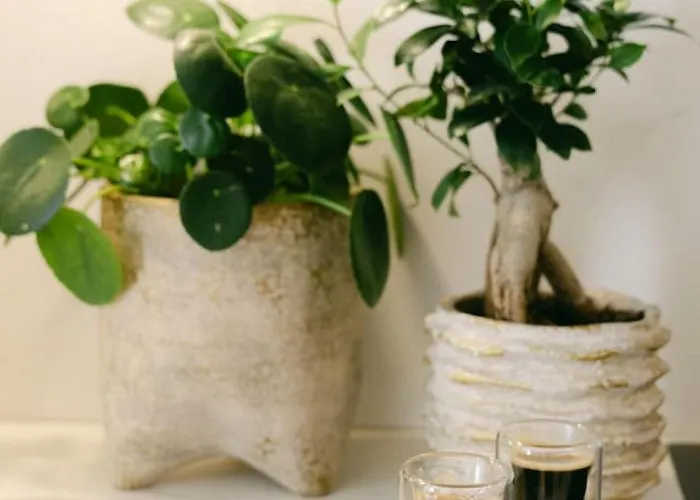 Apartament Millihaus By Homeflow Zermatt